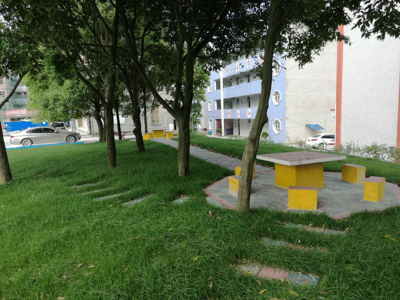 校园一角（2）